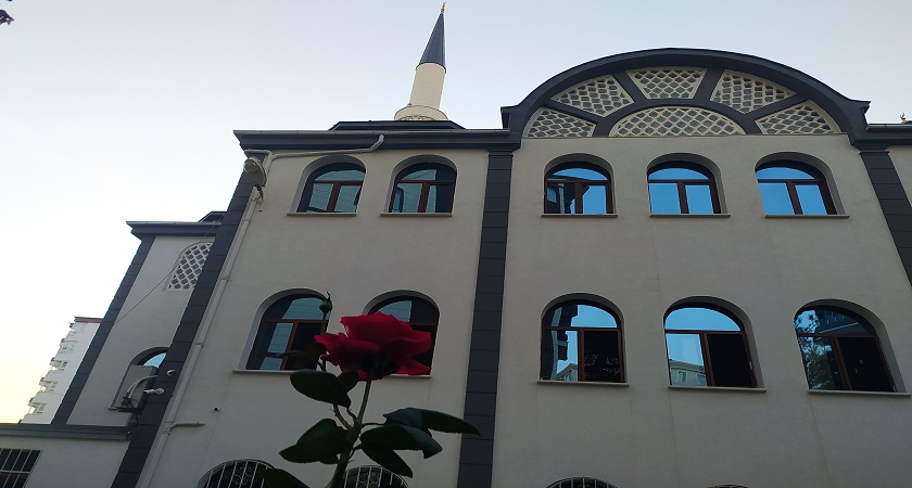 Haq U Mafên Zarokan